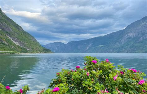 An Introduction To Eidfjord Norway Life In Norway