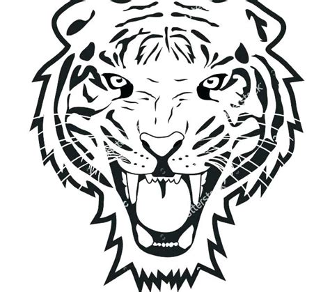 Tiger Face Outline Drawing at PaintingValley.com | Explore collection of Tiger Face Outline Drawing