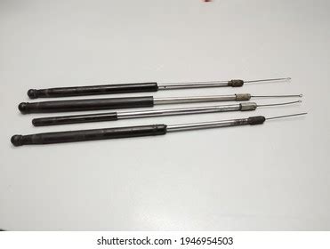 platinum loop  bacteria inoculation microbiology stock photo