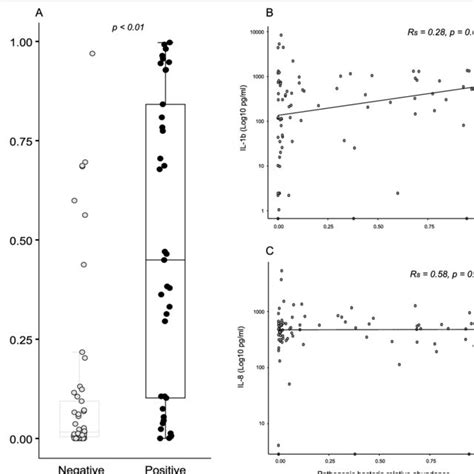 Pathogenic Bacteria Relative Abundance Per Patient Sample N 90 Is Download Scientific