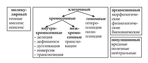 30. Мутационная изменчивость. Характеристика мутаций.