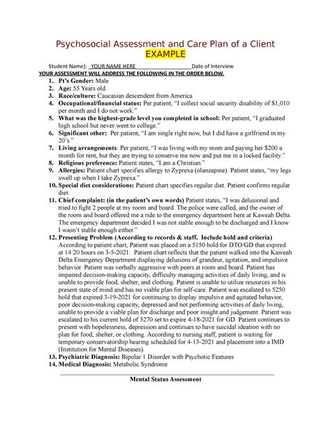 Psychosocial Assessment And Care Plan Example 2 Psychosocial Assessment And Care Plan Of A