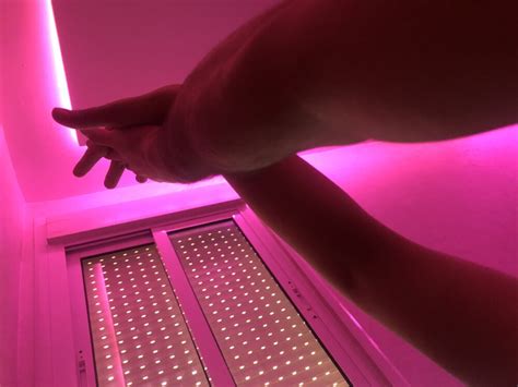 The PerFect One Cam Model Free Live Sex Show Chat Stripchat