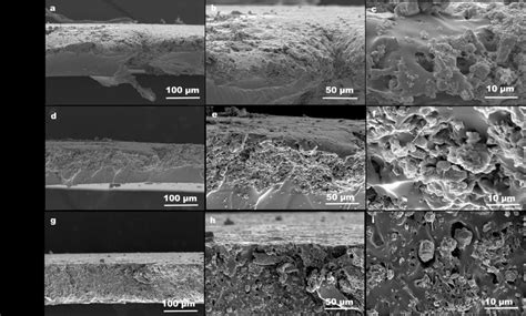 Sem Cross Section Micrographs Of Mixed Matrix Membranes With 3 Download Scientific Diagram