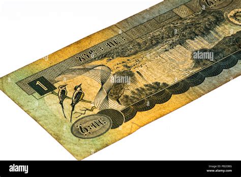 1 Ethiopian birr bank note. Birr is the national currency of Ethiopia ...