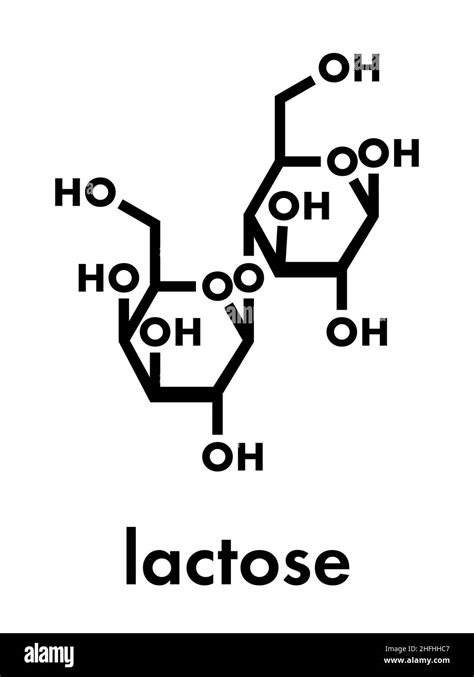 Lactose Milk Sugar Molecule Skeletal Formula Stock Vector Image Art