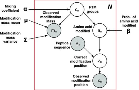 A Bayesian Network Describing Our Generative Model Using Plate