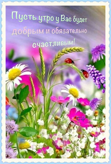 Beautiful Flower Quotes, Beautiful Flowers Pictures, Beautiful Day ...