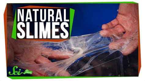 Slug Sex And Bubble Rafts Natures Most Unusual Slime Youtube