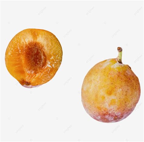 Download Italian Prune Plum Yellow Mirabelle Wallpaper