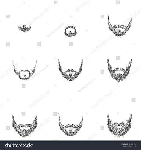 Vector Set Sketch Beards Types Beards Stock Vector Royalty Free 274932530