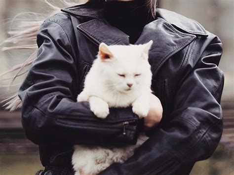 30 Things You Should Know Before Dating A Cat Owner