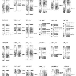 Number Of Markers And Genetic Length Of Sex Specific Linkage Groups Of