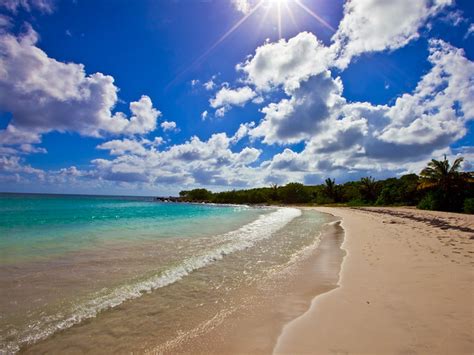 Blue Beach Vieques Puerto Rico A Photo On Flickriver