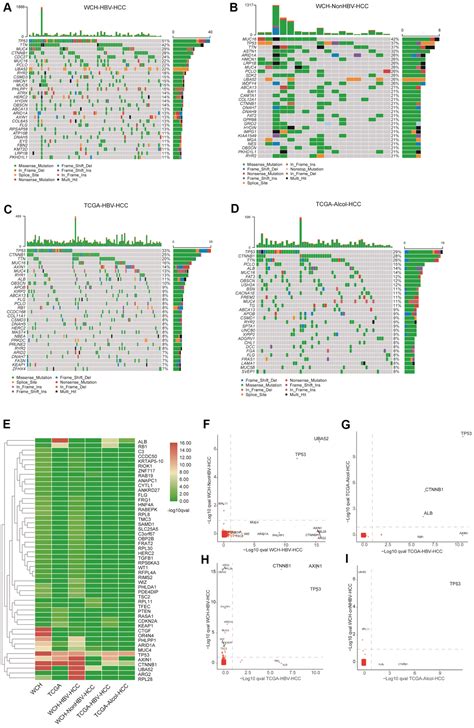 Comprehensive Analysis Of Genomic And Immunological Profiles In Chinese