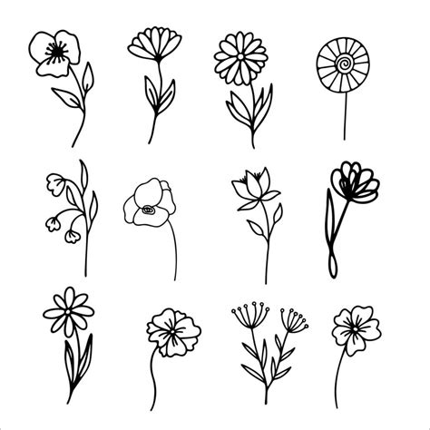 Hand Drawn Herbal Floral Clipart Collection One Line Doodle Vector