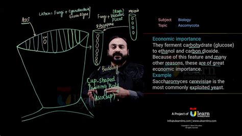 Ascomycota Fsc Biology Chapter 8 Lecture 11 Ulearn Youtube