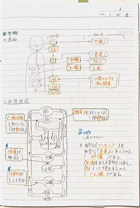 高校受験理科直前対策ざざっと形式別まとめノート 中学生 理科のノート Clearnote