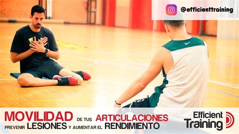 Descubrir Imagen Como Prevenir Lesiones En El Basquetbol Abzlocal Mx