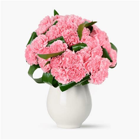 Buchet De 39 Garoafe Roz Perfecte Floriaro