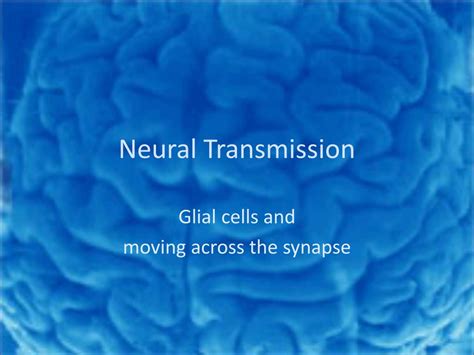 Ppt Neural Transmission Powerpoint Presentation Free Download Id 456057