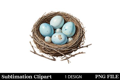 Watercolor Bird Nests Clipart PNG Design Graphic By Vertex Creative