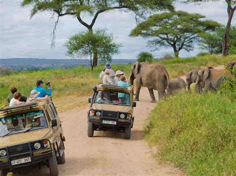 The Ultimate Safari Selection: Choosing The Perfect Tanzanian National