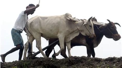 সর্বকালের সর্বশ্রেষ্ঠ বাঙালি বিবিসি বাংলার জরিপে চতুর্থ স্থানে এ কে