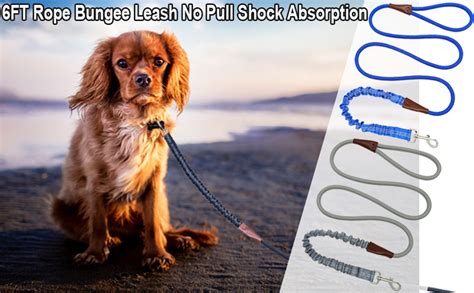 Sepxufore 6ft Rope Bungee Leash For Large And Medium Dogs