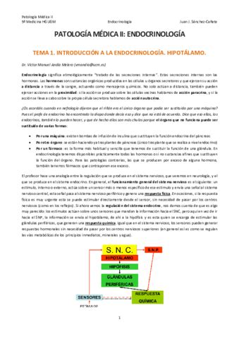 Glomerulopatias Primarias Tabla Pdf