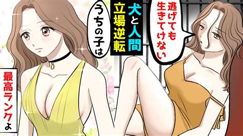 【漫画】人間と犬の立場が逆転したらどうなるのか？ペットになった人間が‥ Youtube