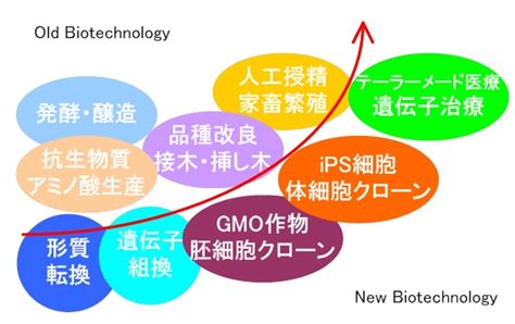 バイオ概説【第1回】入門編：バイオ医薬品の特性と定義 Gmp Platform