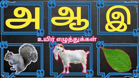 Uyir Eluthukkal உயர எழததககள Learn Tamil Albhabets Tamil