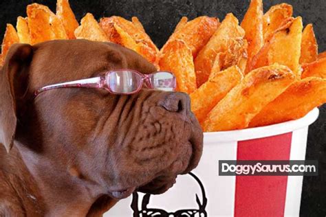 Can Dogs Eat Kfc Dog Friendly Kentucky Fried Chicken List