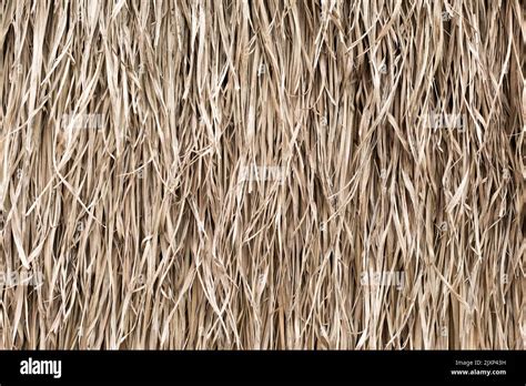 Straw Texture Tropic Roof Summer Background Stock Photo Alamy