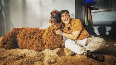 Tambah Peliharaan Baru Ini Potret Irfan Hakim Bareng Alpaca