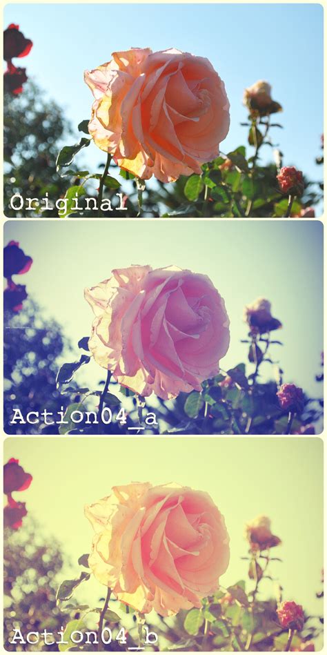 Photoshop Nature Flower Actions | 123Freebrushes