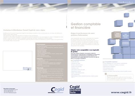 Pdf Gestion Comptable Et Financi Re Info Services Bizinfo Services