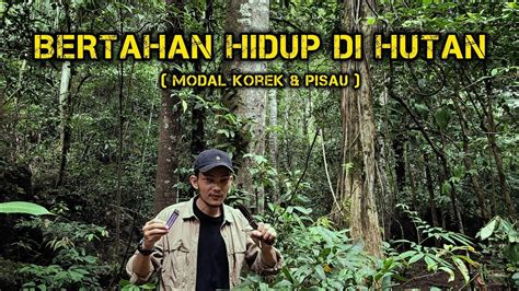 Solo Camping Jam Bertahan Hidup Di Hutan Sendiri Di Hutan