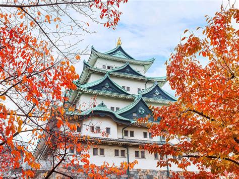 visit nagoya castle nagoyas famous landmark nagoya   boring