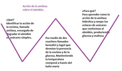 Cuaderno De Biologia Iii W De La Pr Ctica