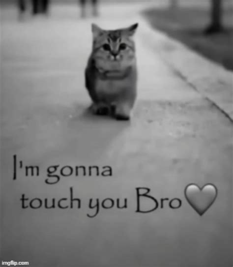 I M Gonna Touch You Bro Imgflip