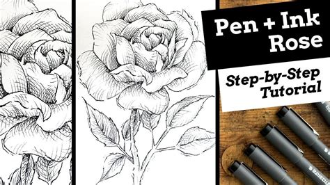 Pen And Ink Rose Step By Step Tutorial Youtube