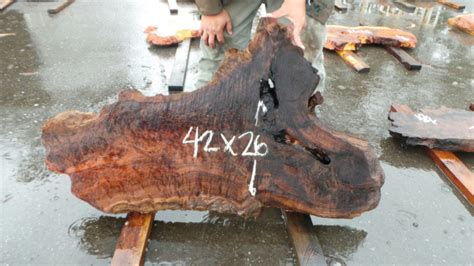 Redwood Burl Furniture Redwood Burl Slabs Redwood Burl Inc