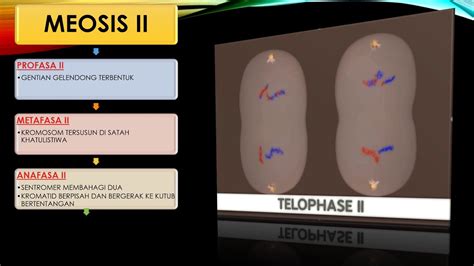 Sains Tingkatan 4 Bab 5 Genetik Bahagian 3 Youtube