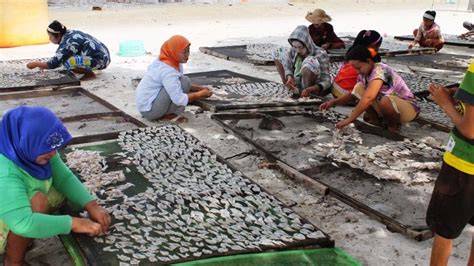 Susi Rumah Tangga Nelayan Berkurang 50 Persen Koran Sulindo