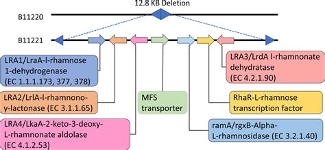 A Correlative Study Of The Genomic Underpinning Of Virulence Traits And