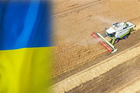 Eastern European Countries Push For Bans On Ukrainian Grain To Be