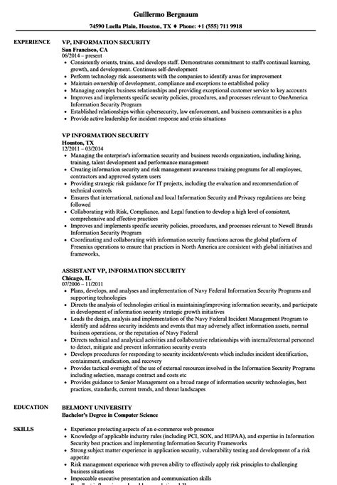 Vp Information Security Resume Samples Velvet Jobs