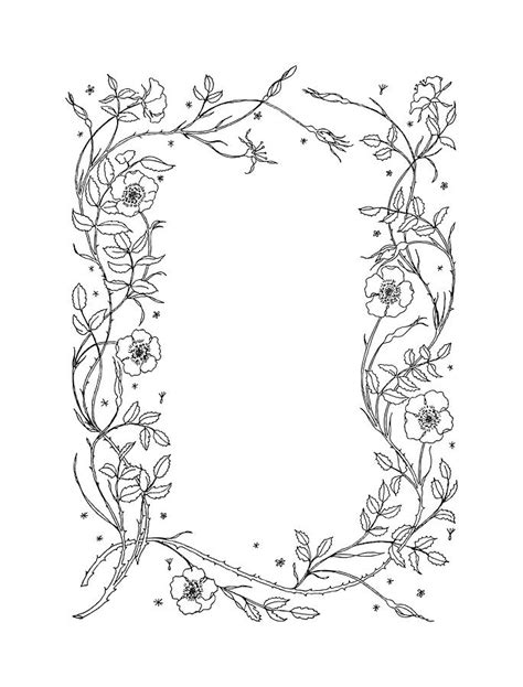 Floral Art Nouveau Border Drawing By Csa Images Fine Art America